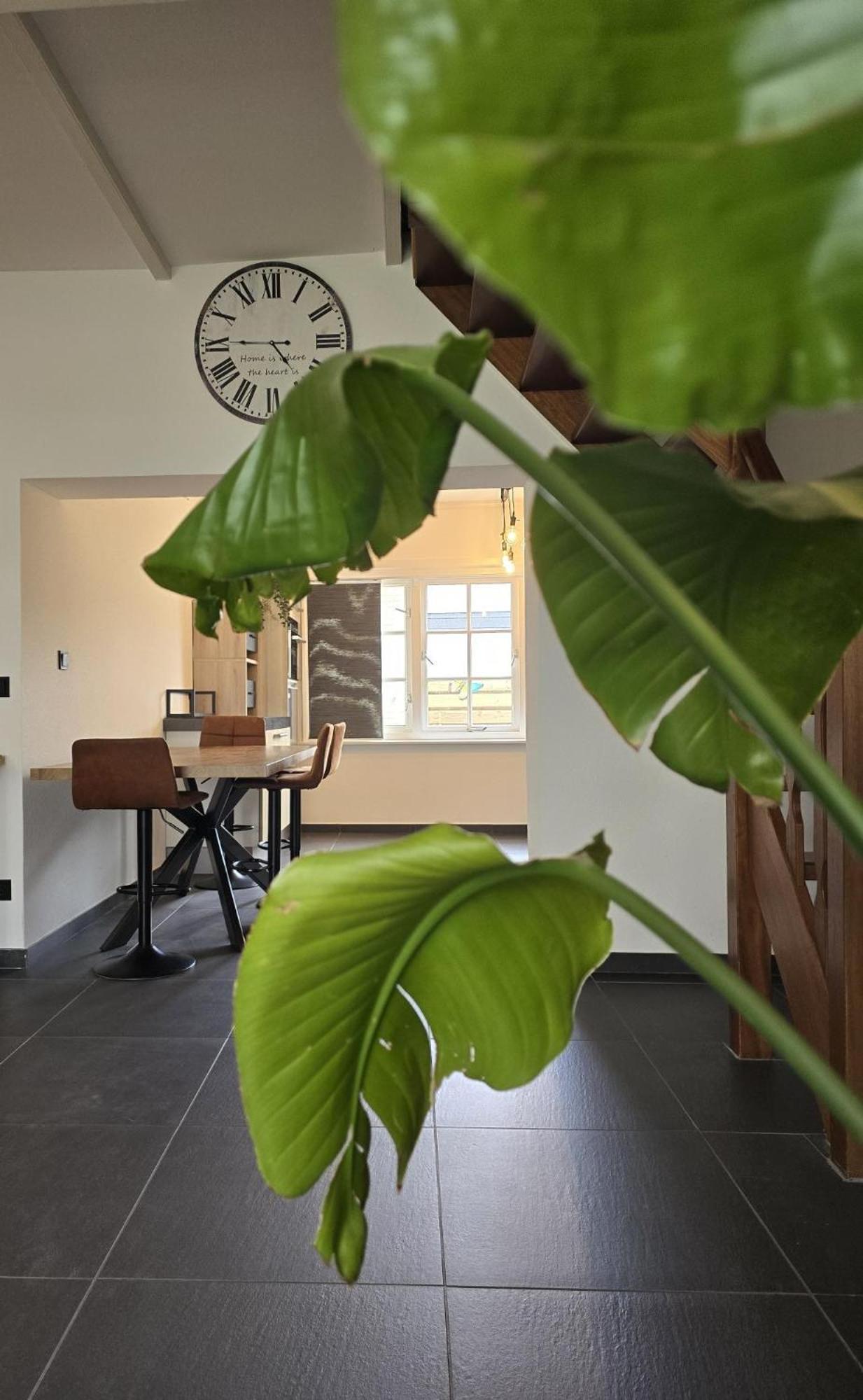 Tip Vakantiehuis Vlissingen